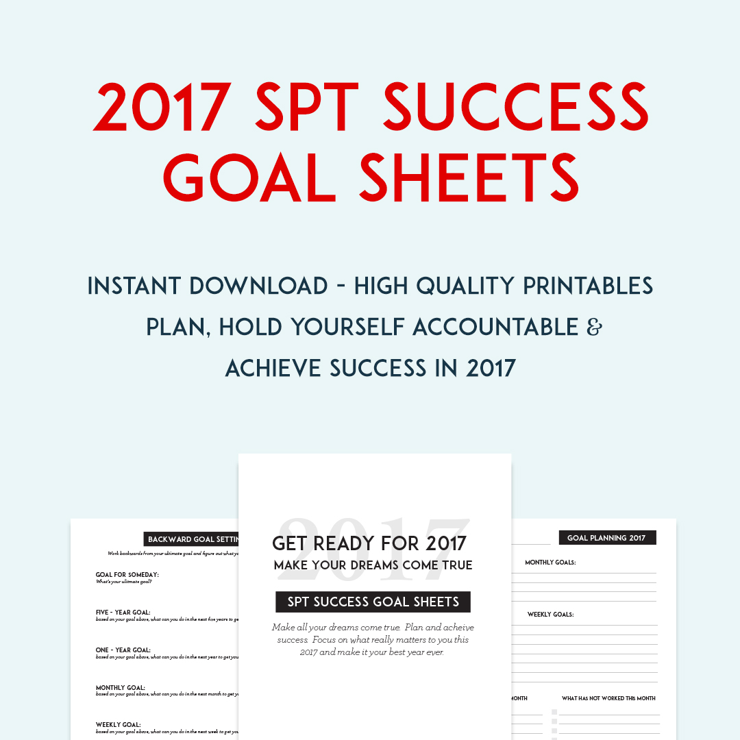 2017_success_goalsheets