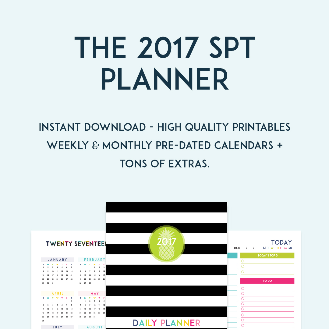 2017 planner