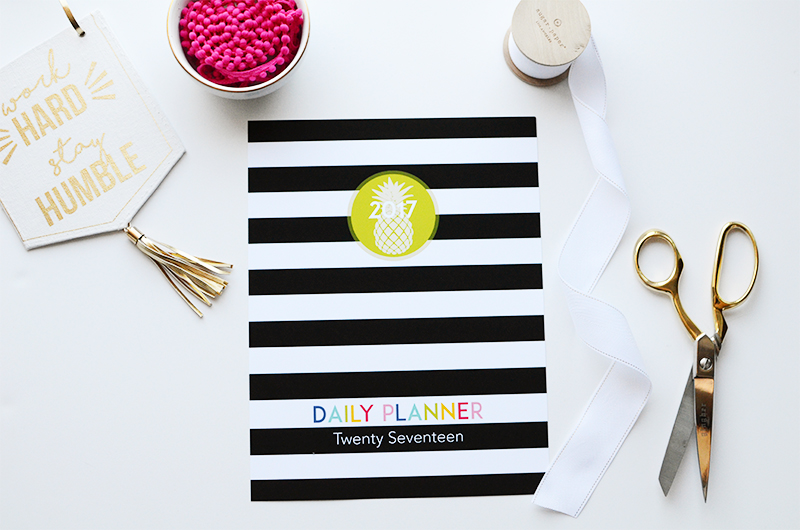 2017 planner cover striped