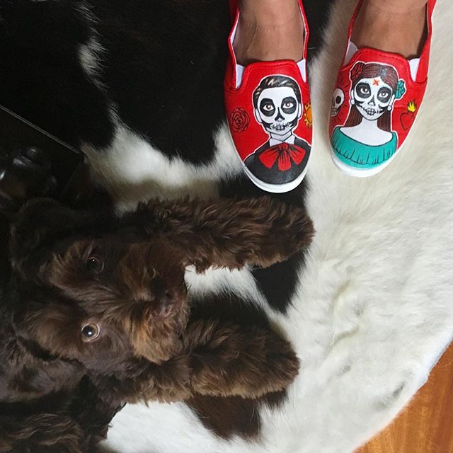 Just received my one of a kind hand painted shoes from @posada_art !! I am in love!
...................
#art #girlboss #schnauzer #cowhide #dayofthedead #shoes #shopping #onlineshopping #diadelosmuertos #latina #mexicana