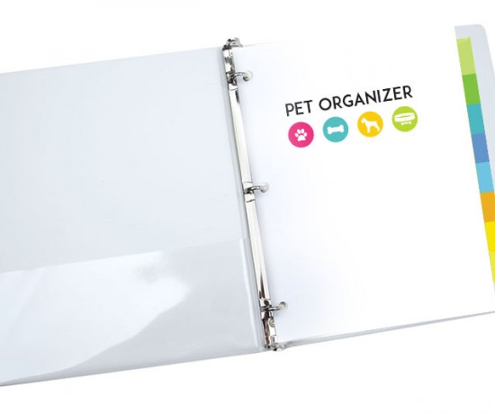 pet organizer - healthy pet printables